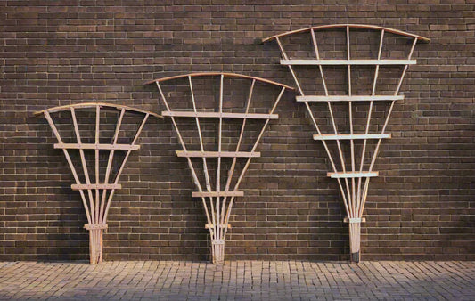 Arched Fan Trellis