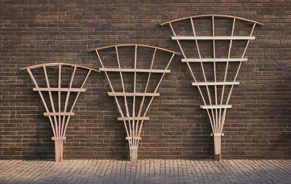 Arched Fan Trellis