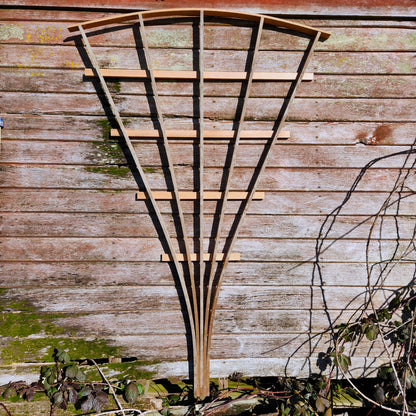 Arched Fan Trellis