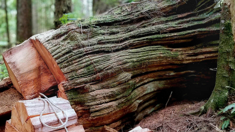 Our Sustainability Commitment