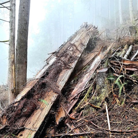 Our Sustainability Commitment