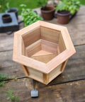 Top View of Handmade Hexagon Planter