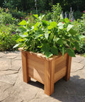 Sixteen inch square Wooden Planter Box