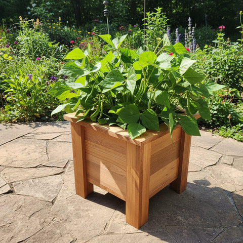 Sixteen inch square Wooden Planter Box