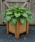 Sixteen inch square Wooden Planter Box
