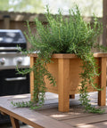 extra-small planter box