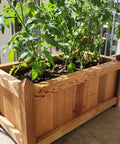 Trough planter