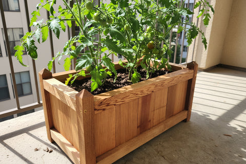 Trough planter