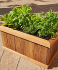 planter box