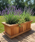trough planter