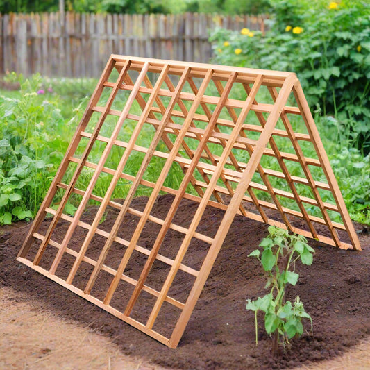 Lattice Squares