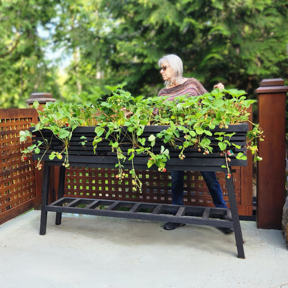 Planters and Garden Beds