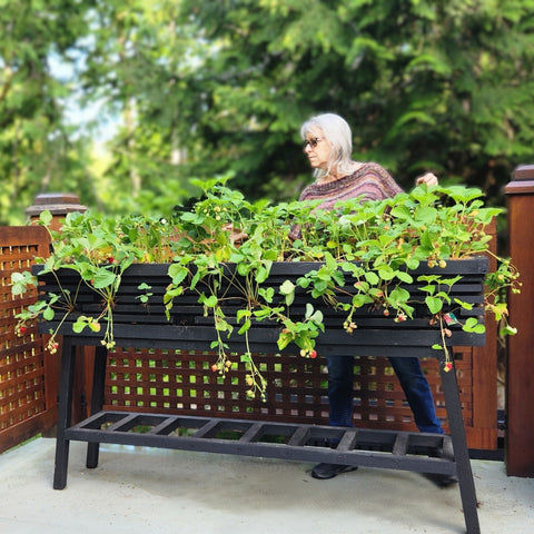 Handcrafted Cedar Furniture Rooted in Sustainability